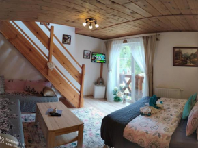 Privat Gazda Pension